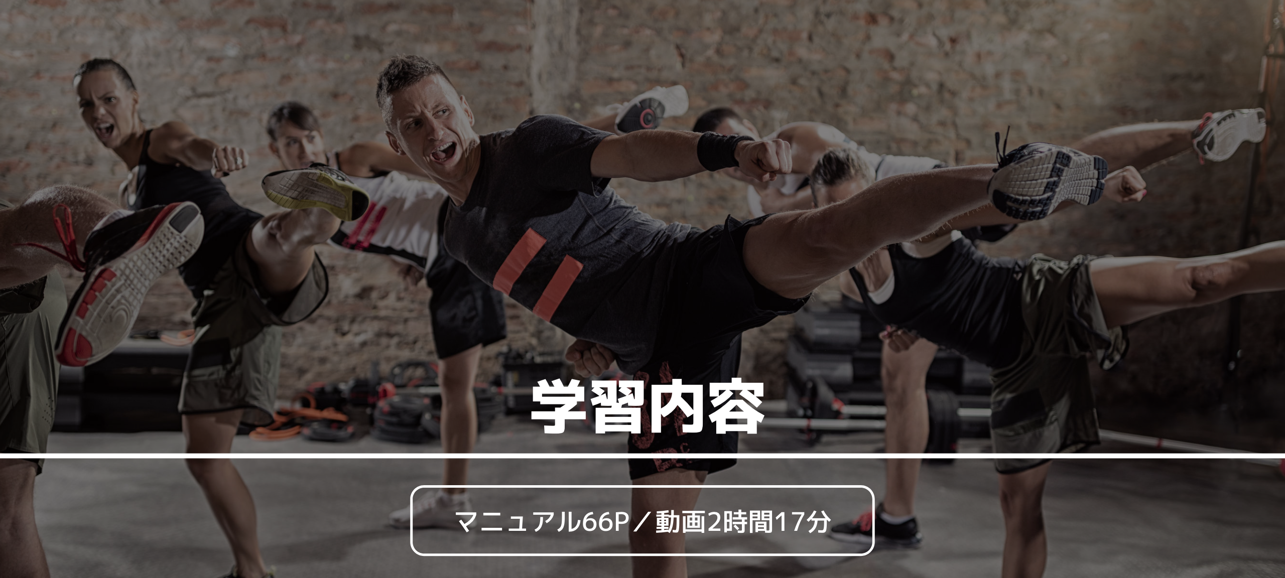 学習内容 マニュアル66P／動画2時間17分