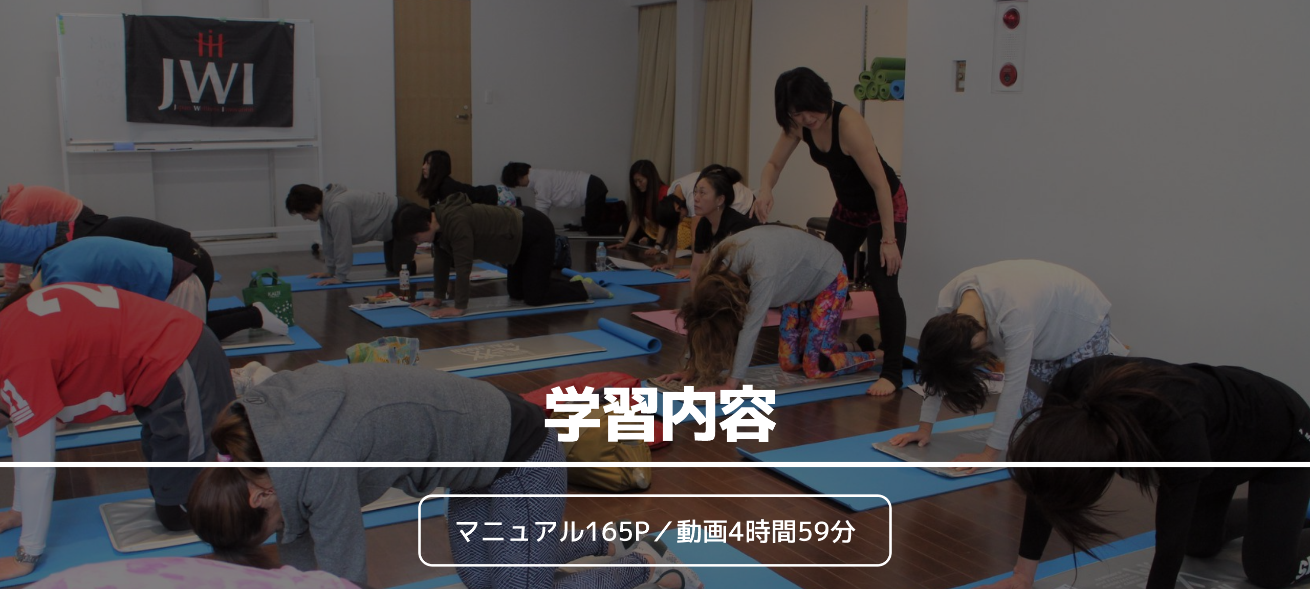 マニュアル165P／動画4時間59分